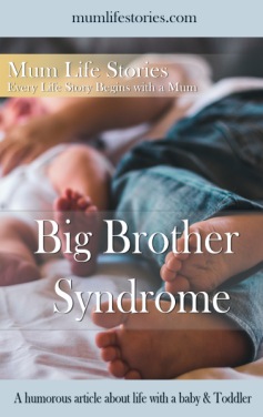Big brother Syndrome cover for pinterest