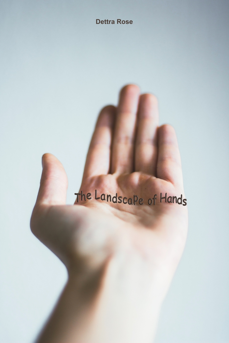 The Landscape of hands